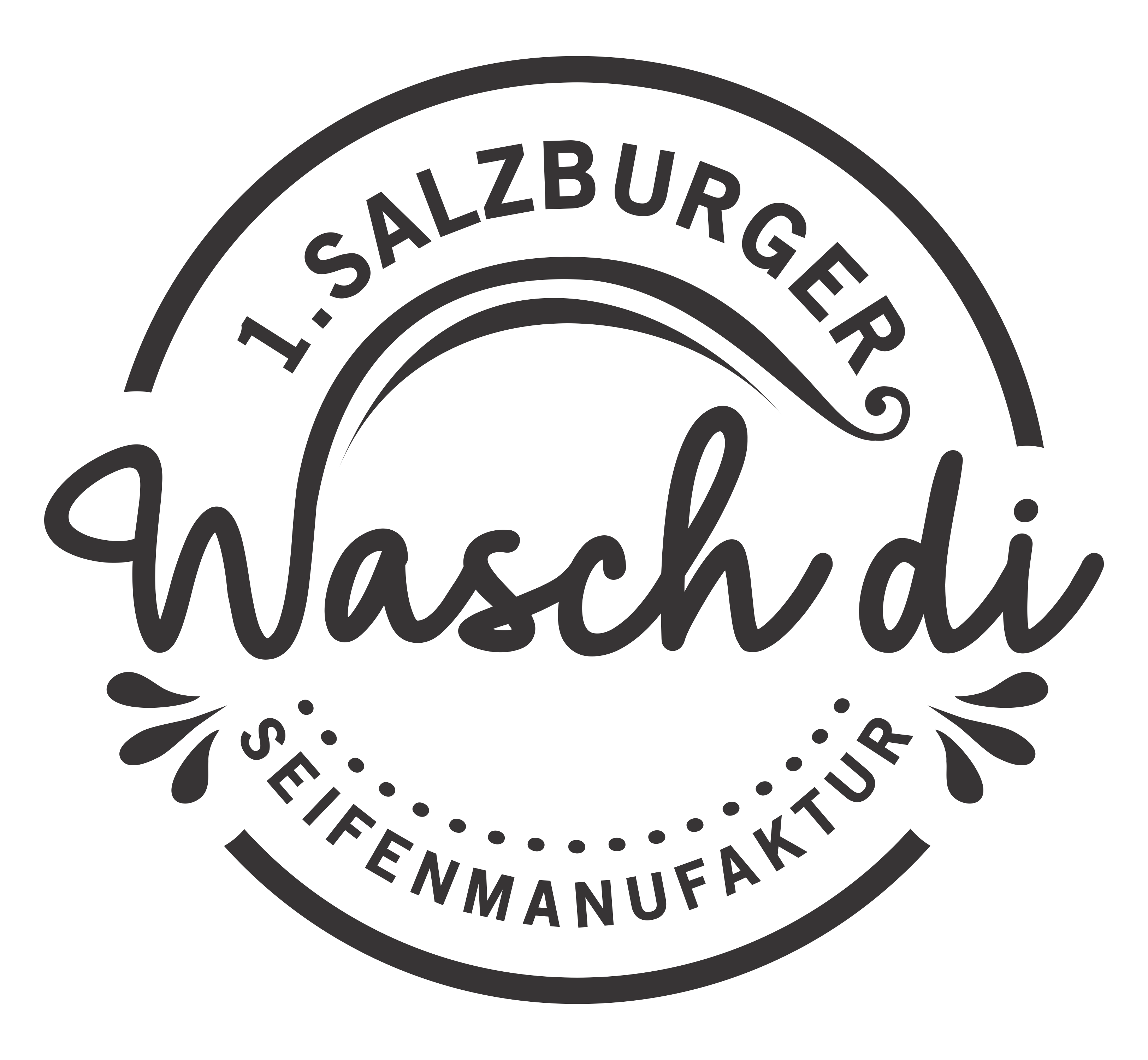 wasch di Logo
